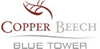 Copper Beech - Blue Tower